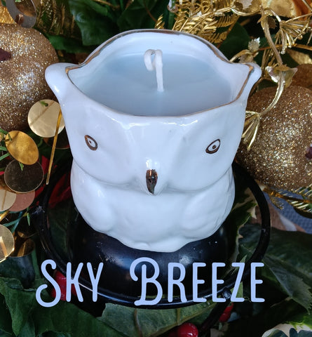 Nook and Candle ceramic owl Scented Candle