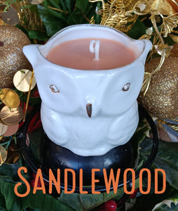 Nook and Candle ceramic owl Scented Candle